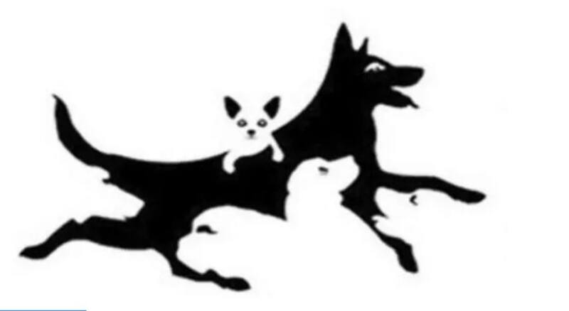 Mira la imagen y cuenta los perritos - Créditos: Luis Gabriel Velázquez