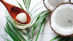 El milagro de la cocina: crema antiarrugas casera para un rostro rejuvenecido