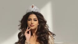 Tras sufrir bullying, la Miss Universo Harnaaz Sandhu regresa a su país natal
