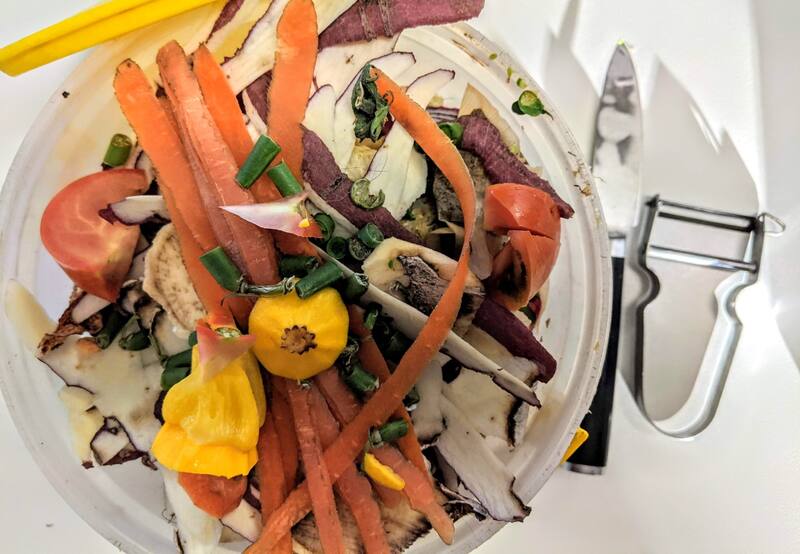 Los restos de vegetales le aportan todos los nutrientes necesarios a la tierra.