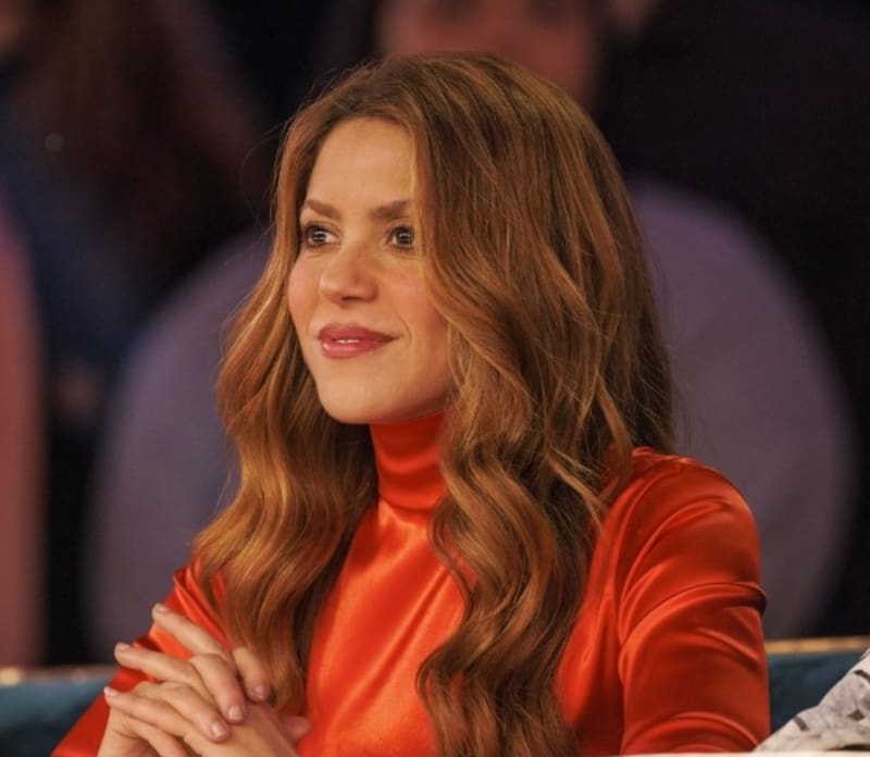 La importante razón por la que Shakira quiere mudarse cuanto antes a Miami - Créditos: Instagram
