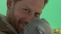 Lilibet y Archie, los hijos del príncipe Harry y Meghan, están ahogados en amor y afecto