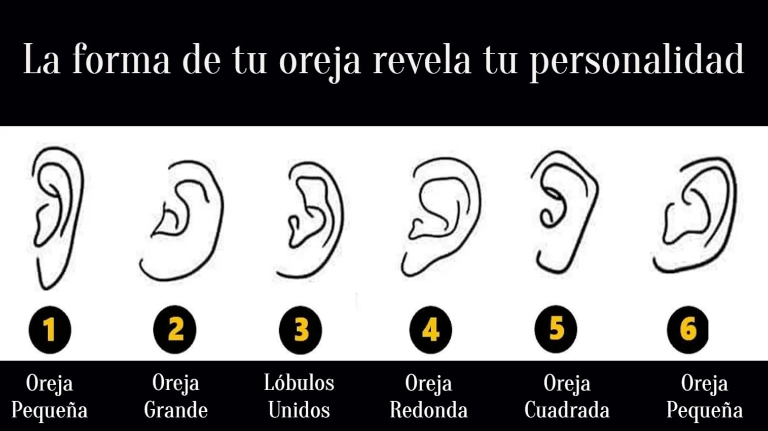 Test de personalidad con una imagen ilustrativa acerca de las distintas formas de orejas.