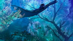 Después de una larga espera, 'Avatar 2' finalmente tiene fecha de estreno