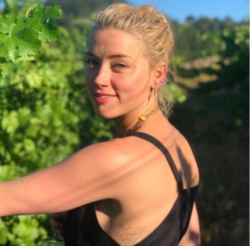 Amber Heard recurriría indirectamente a Elon Musk para pagarle a Depp - Créditos: Instagram