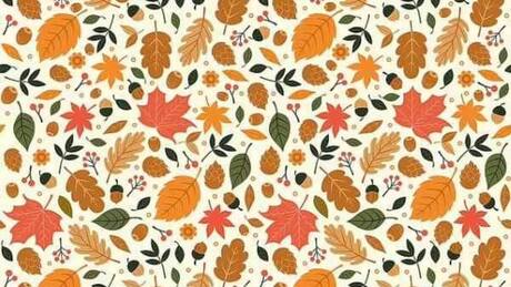 Test visual: el enigma del erizo