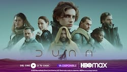 Mira estos siete filmes y series basados en libros, disponibles en HBO Max