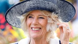 La reina Camila perderá 500 mil dólares al año