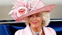 El ancestro que comparte la reina Camila con famosas cantantes