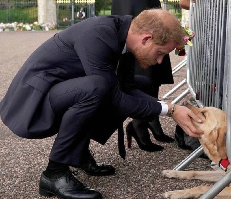 El príncipe Harry podría tener problemas con migraciones de Estados Unidos. - Créditos: Instagram