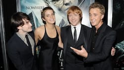 Veinte años después actor de Harry Potter declara su amor a Emma Watson