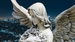 Oráculo angelical del 10 de Julio: descubre las predicciones para tu signo zodiacal