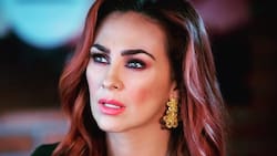 Aracely Arámbula arremete contra quienes aseguran que Luis Miguel tiene contacto con sus hijos