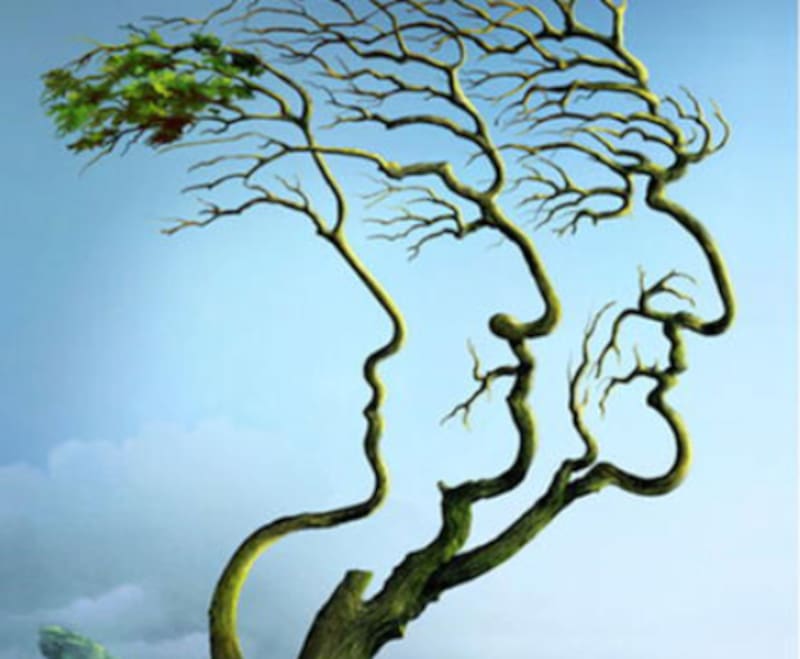 Test de personalidad: ¿Qué observas a primera vista? - Créditos: Libero.pe