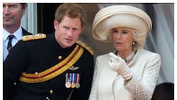 La indiferencia absoluta de la reina Camila hacia el príncipe Harry