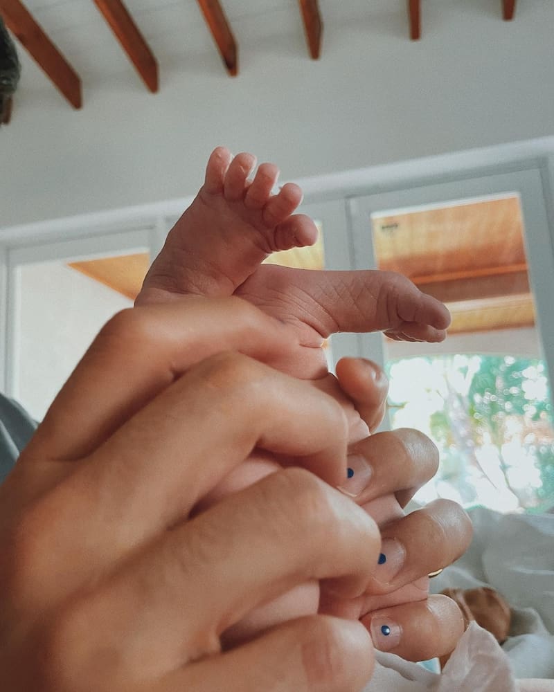 Estas son las primeras imágenes de Índigo - Créditos: Facebook