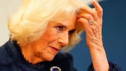 Reina Camila conmociona a la realeza al incluir inesperado invitado a coronación de Carlos III