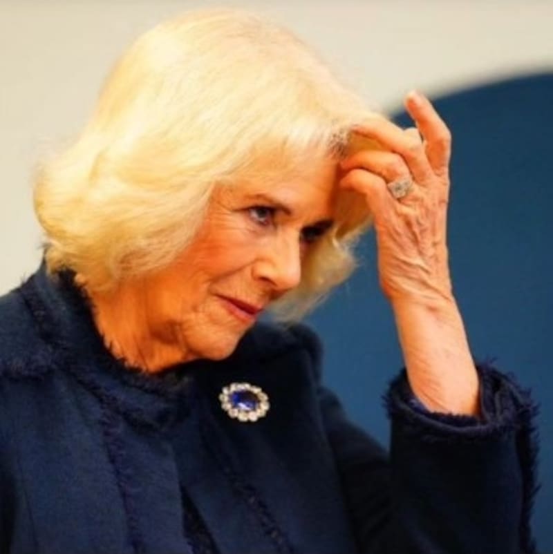 Reina Camila conmociona a la realeza al incluir inesperado invitado a coronación de Carlos III La reina Camila se salió con la suya - Créditos: Instagram