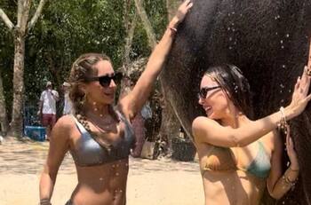 Belinda y los elefantes: un chapuzón en Bangkok que enciende las redes