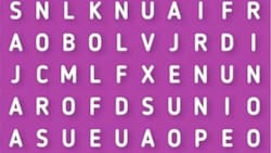 Reto: Encuentra la palabra oculta en la sopa de letras en menos de 30 segundos