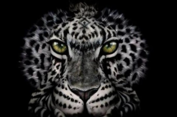 Test de personalidad: Si ves un tigre o una mujer te dirá si eres una persona práctica o no