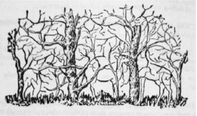 - Créditos: Internet