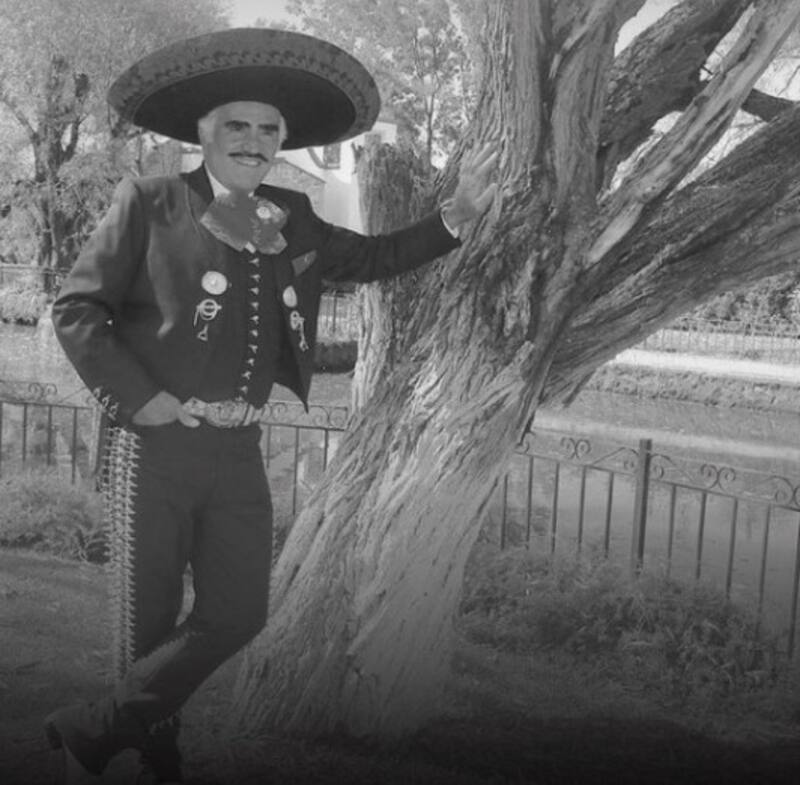 La bioserie de Vicente Fernández tendrá dos versiones - Créditos: Instagram Vicente Fernández