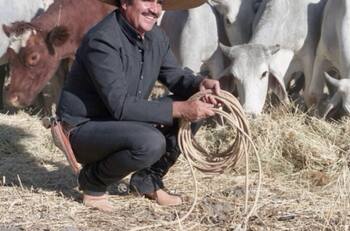 Así luce la monumental escultura de Vicente Fernández