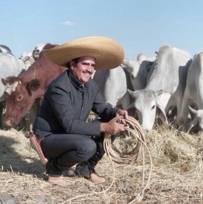 Así será la escultura de Vicente Fernández - Créditos: Instagram