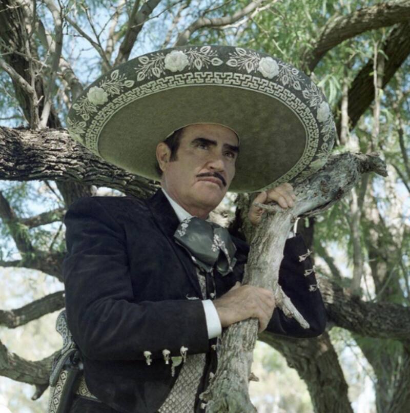 Merle Uribe revela que Vicente Fernández pago millonaria suma de dinero para alejar a Patricia Rivera - Créditos: Instagram