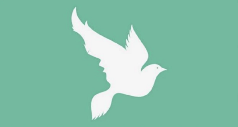 Test de personalidad: ¿viste un ave o la silueta de la persona? - Créditos: Internet