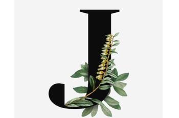 ¿Eres un creativo nato? Tu tipo de letra ‘J’ tiene la respuesta