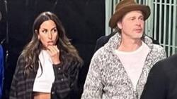 Brad Pitt cambia de hogar pero sigue viviendo solo, a distancia de su novia Inés de Ramon