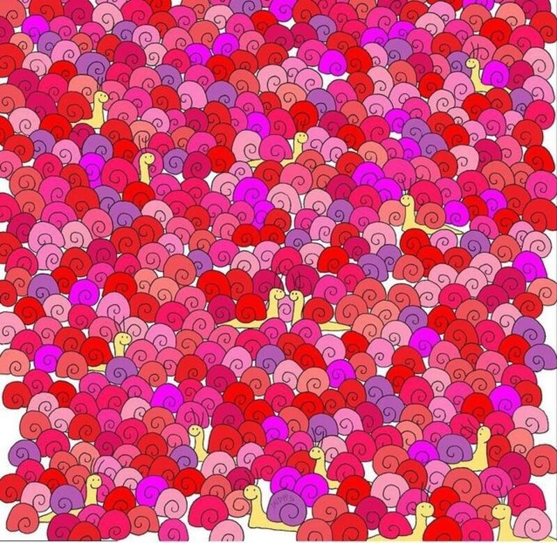 Encuentra el corazón entre los caracoles, tienes menos de 10 segundos - Créditos: Instagram