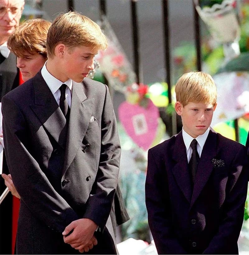 - Créditos: Internet