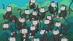 Reto visual: Encuentra al oso entre los monos