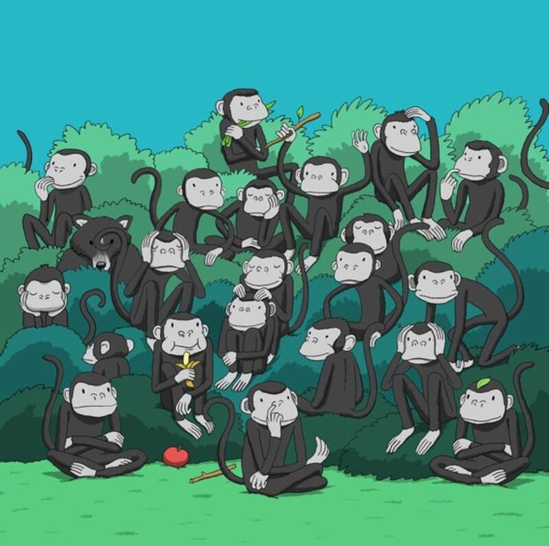 Encuentra al oso entre los monos - Créditos: Instagram