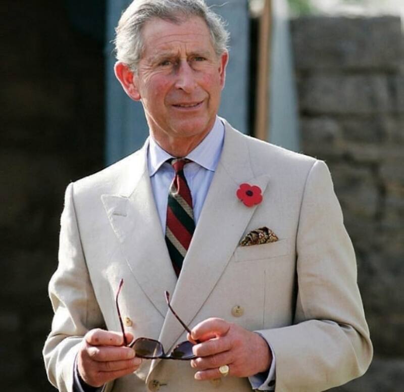 Carlos III está desconsolado por sus cisnes. - Créditos: Instagram