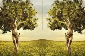 Test de personalidad: El test visual que revela tu atractivo único