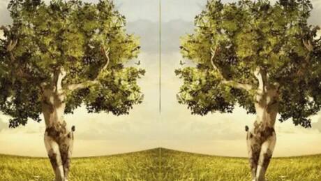 Test de personalidad: El test visual que revela tu atractivo único