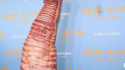 El pánico que Heidi Klum pudo superar al disfrazarse de gusano