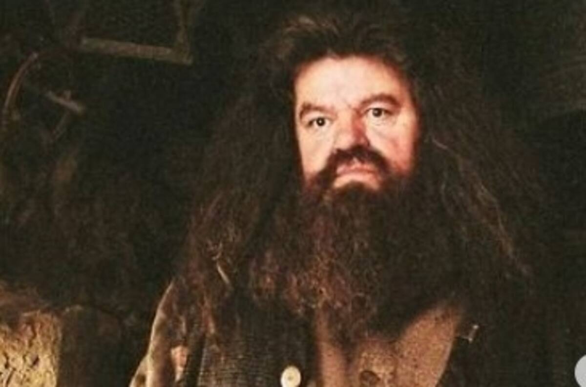 Informe revela las reales causas de muerte del guardabosques gigante de Harry Potter