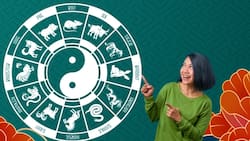 De la rata al cerdo: horóscopo chino MENSUAL para agosto de 2023