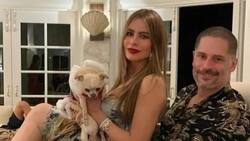 La batalla por Bubbles: Sofía Vergara y Joe Manganiello pelean por la custodia de la mascota