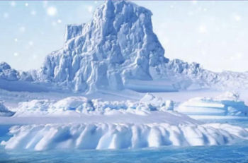 Reto visual: Encuentra al oso polar escondido en la nieve