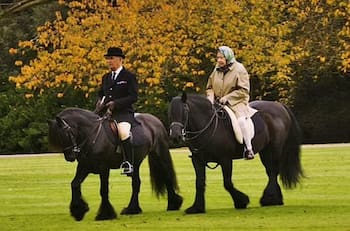 El caballo que despidió a la Reina Isabel II supo que ella nunca más lo montaría