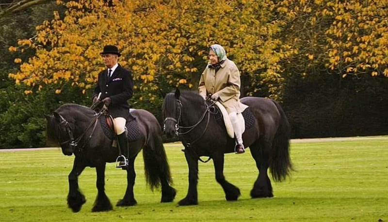 - Créditos: Instagram