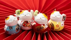 Horóscopo Chino diario: predicciones para el 03 de Agosto de 2023