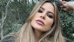 Sofía Vergara revela reunión con influyente círculo de amistad: Klum, Priyanka, Sharon Stone y otras