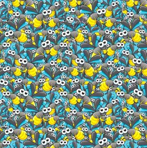 ¿Serás capaz de encontrar a la hormiga escondida en al imagen? ¡Tienes 13 segundos!